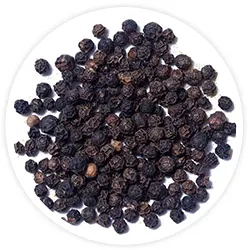 bio-dynamix-joint-genesis-black-pepper