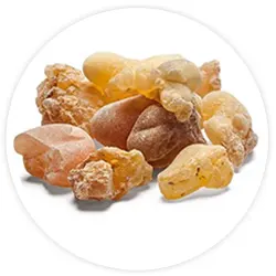 bio-dynamix-joint-genesis-boswellia